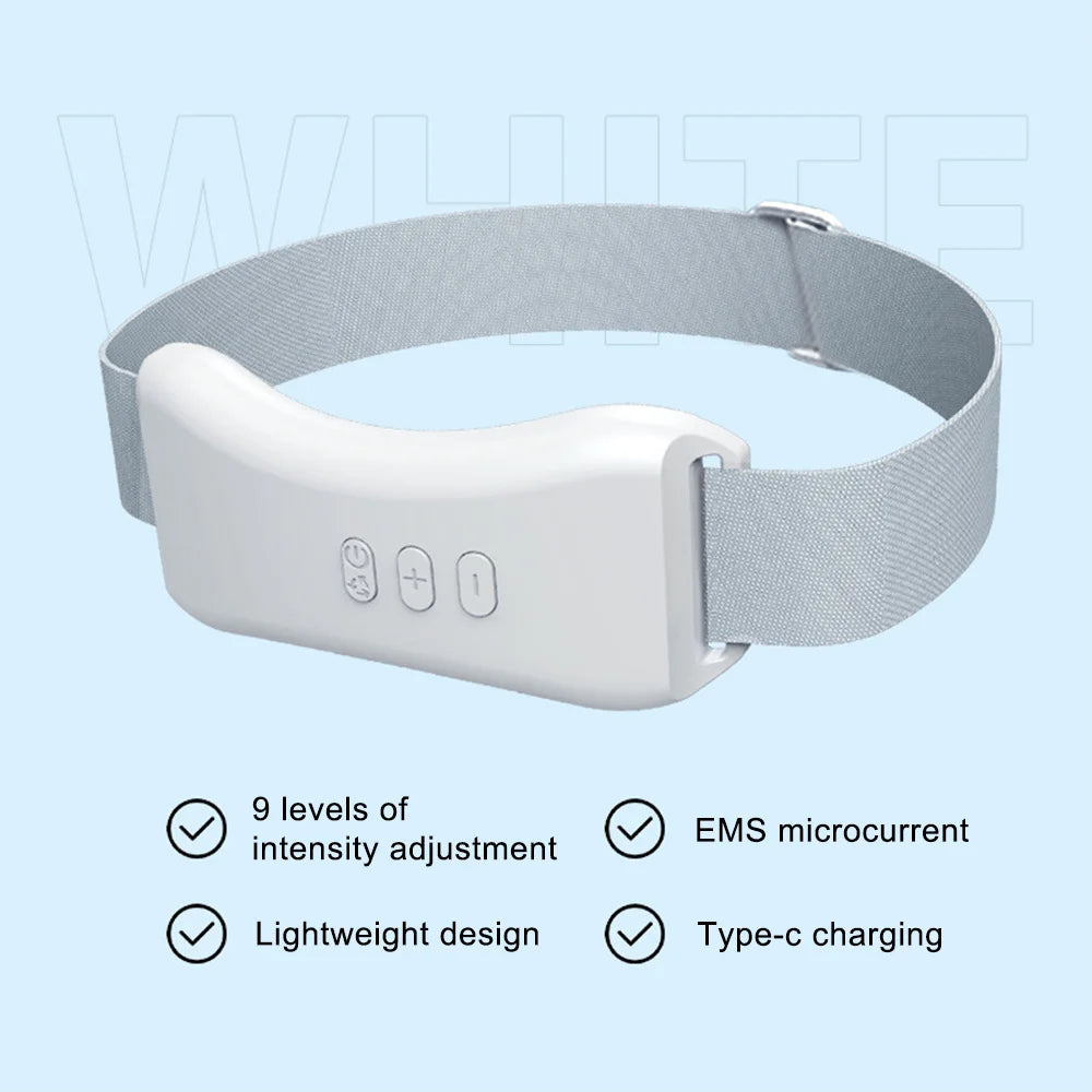 EMS Facial Massager